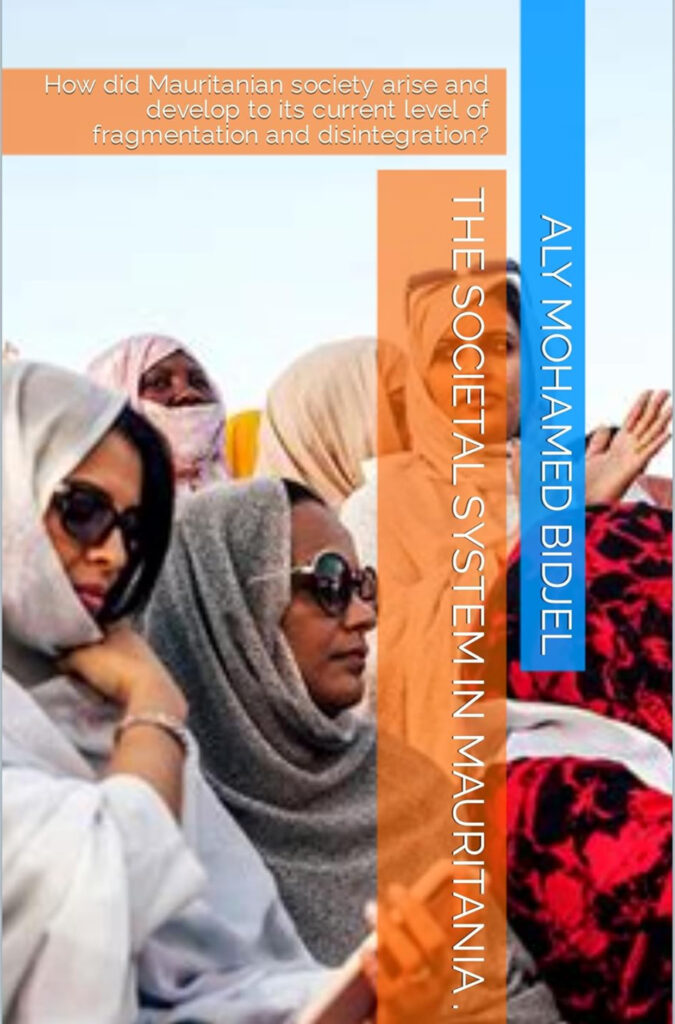 Cover of The Societal System in Mauritania.